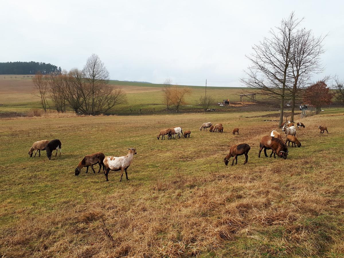 Podkroví v Jihočeském Statku Nemejice Extérieur photo